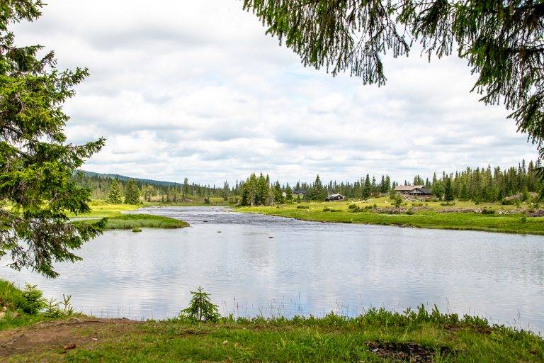 Olshølen