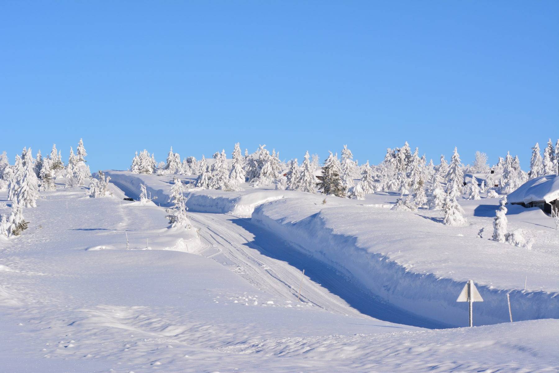 Vinterveg på Sjusjøen
