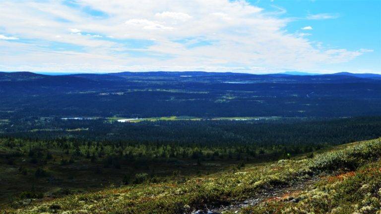 Åstdalen i Ringsakerfjellet