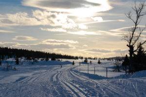 Birkebeinerløypa (1)