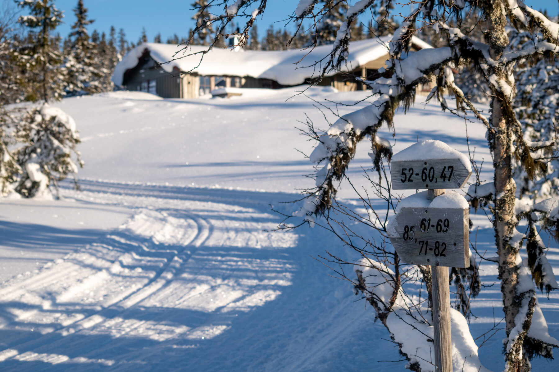 På vinteren går skiløyper til hyttene fra parkeringen på Skvaldra